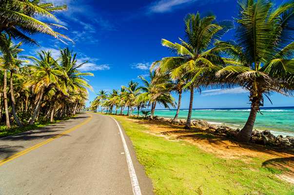 20141111160351391600_shutterstock_125122250_palm trees in San Andres, Colombia